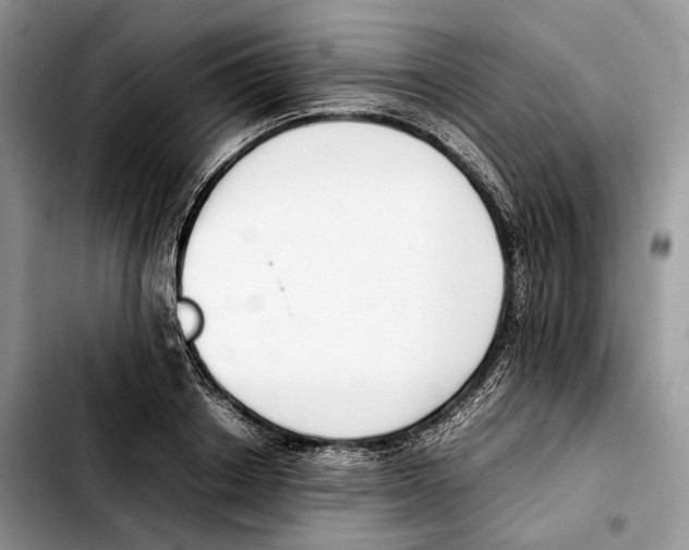 X0000103450842200810101126