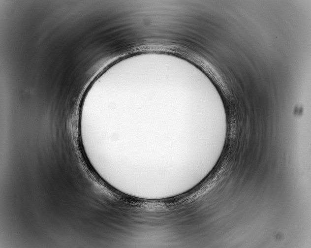 X0000103450844200810101126