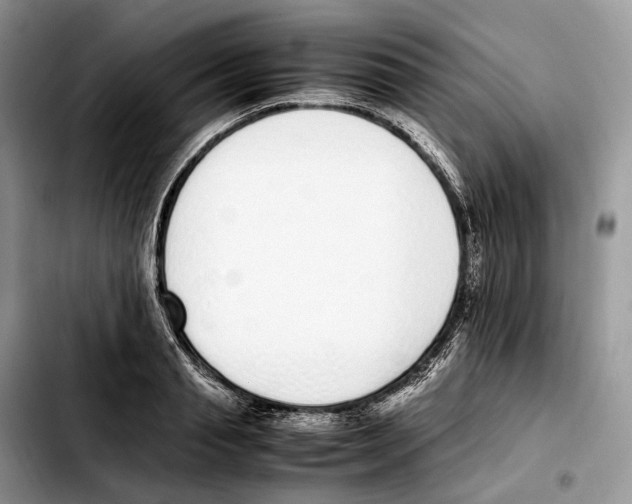 X0000103450845200810101126