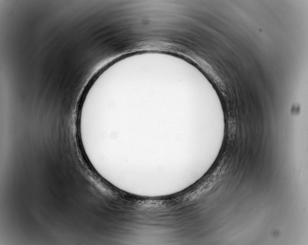 X0000103450846200810101126