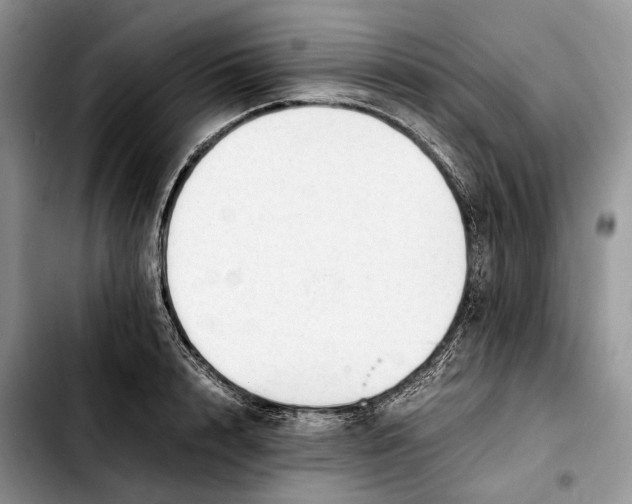 X0000103450848200810101126