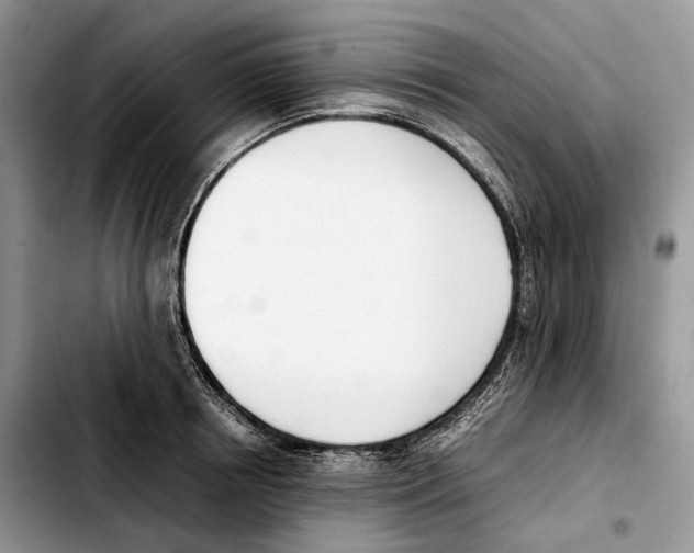 X0000103450850200810101126