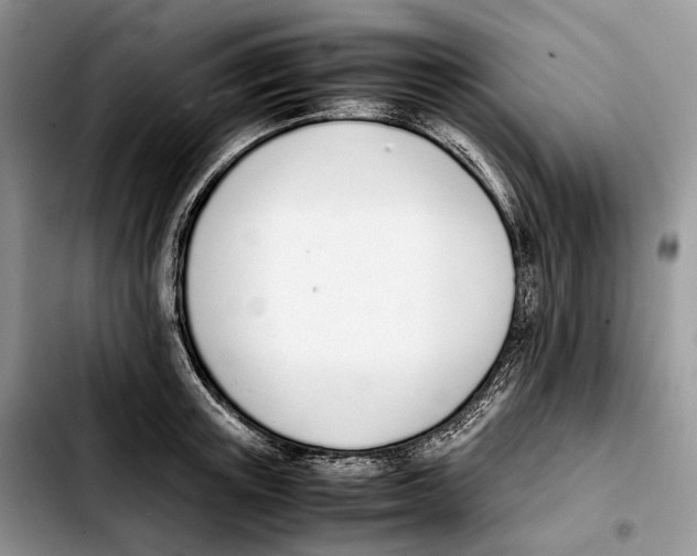 X0000103450851200810101126