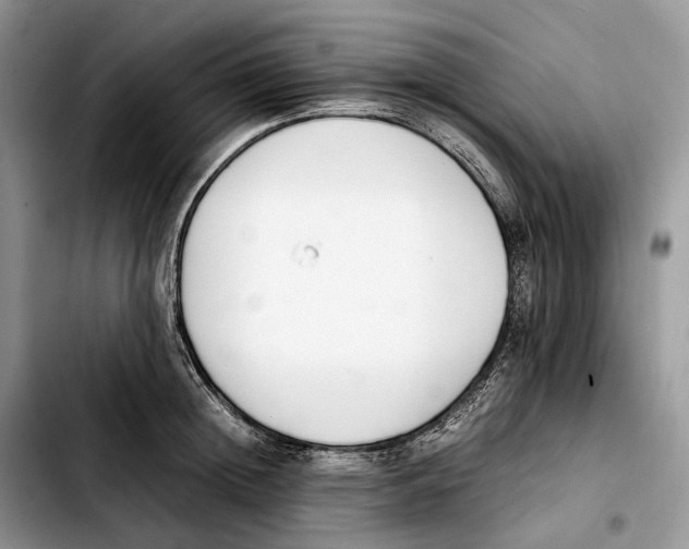 X0000103450852200810101126