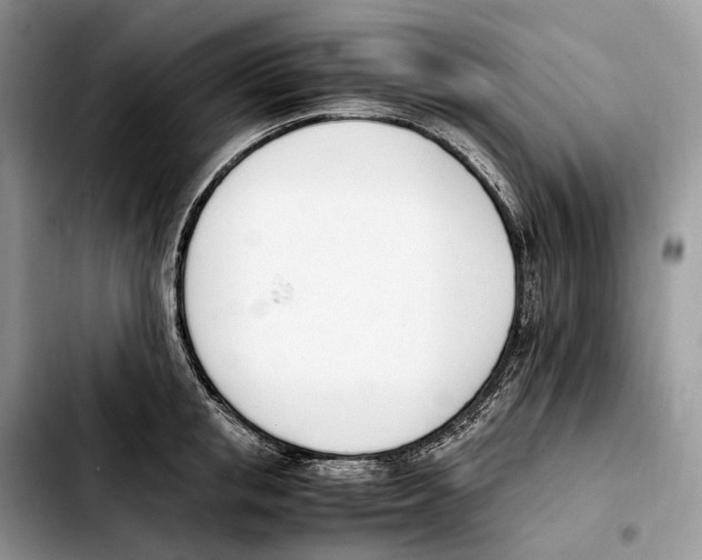 X0000103450853200810101126