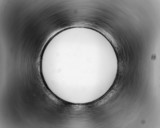 X0000103450854200810101126