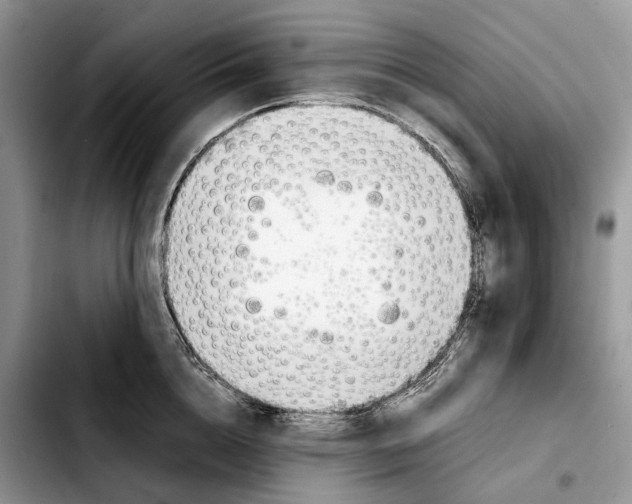 X0000103450856200810101126