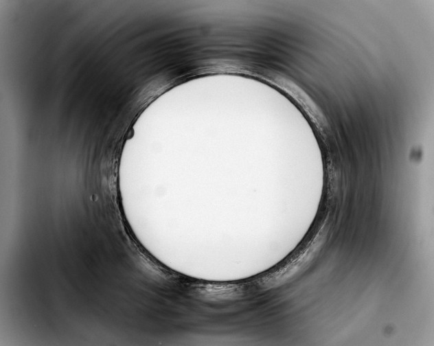 X0000103450857200810101126