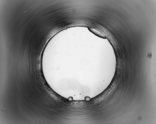 X0000103450858200810101126