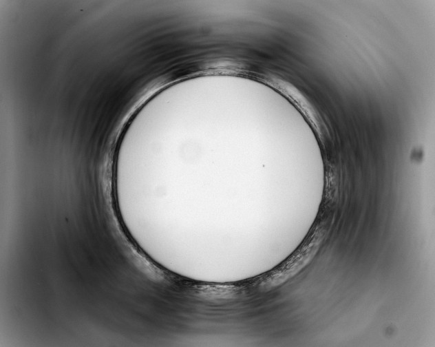 X0000103450859200810101126