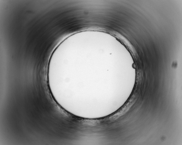 X0000103450860200810101126