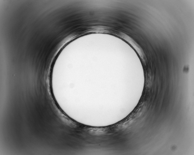 X0000103450861200810101126