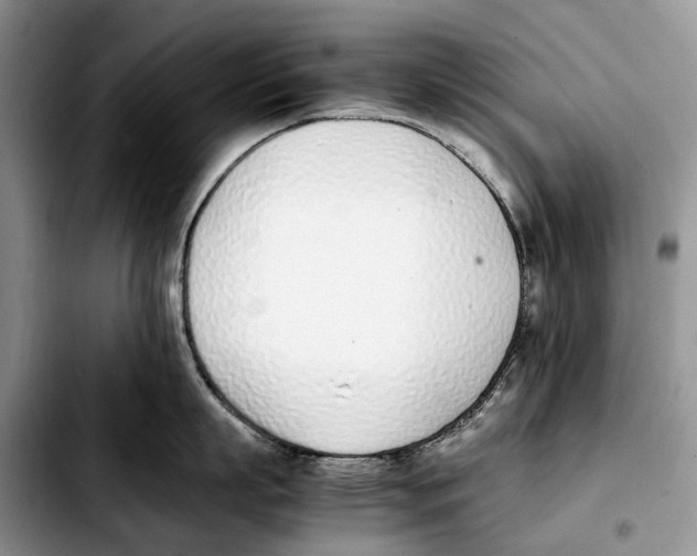 X0000103450863200810101126