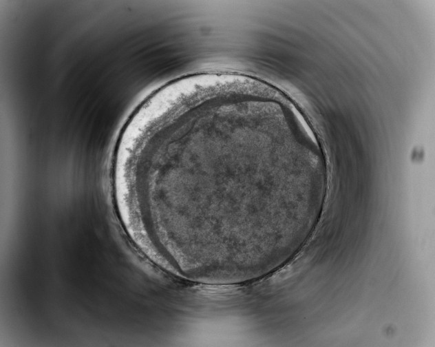 X0000103450864200810101126