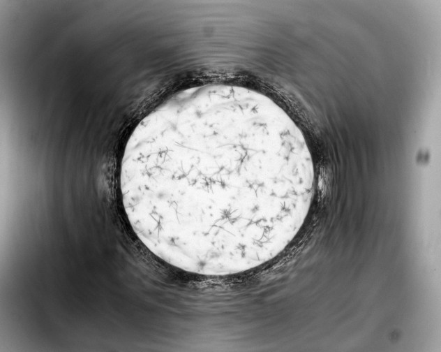 X0000103450867200810101125