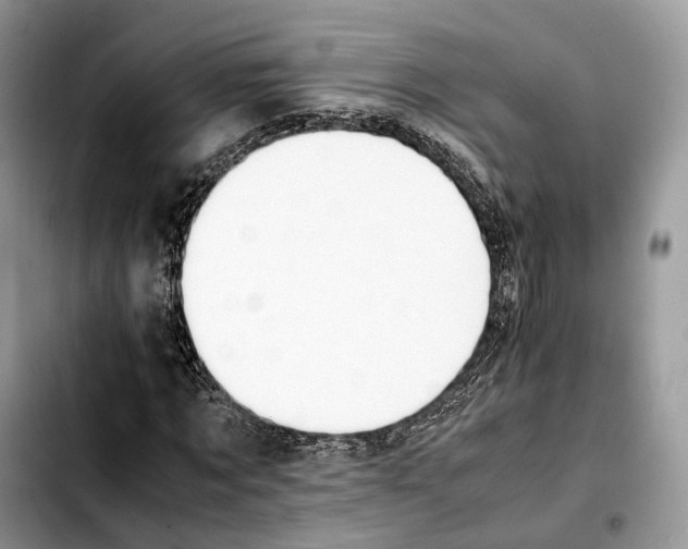 X0000103450869200810101125