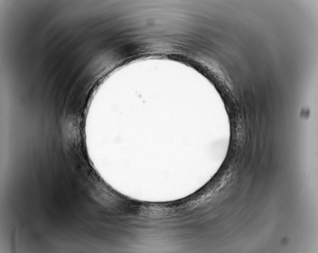 X0000103450873200810101125