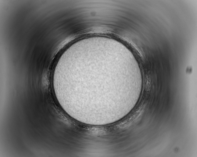 X0000103450874200810101125