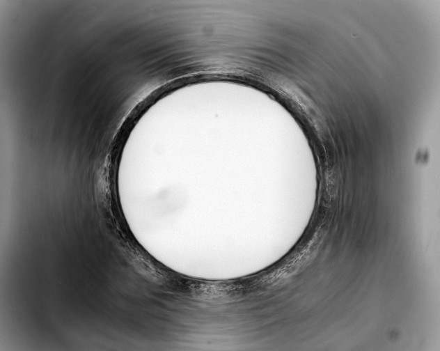 X0000103450875200810101125