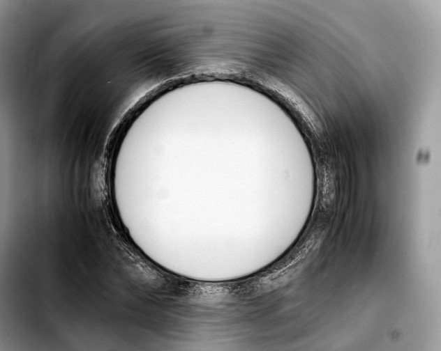 X0000103450878200810101125