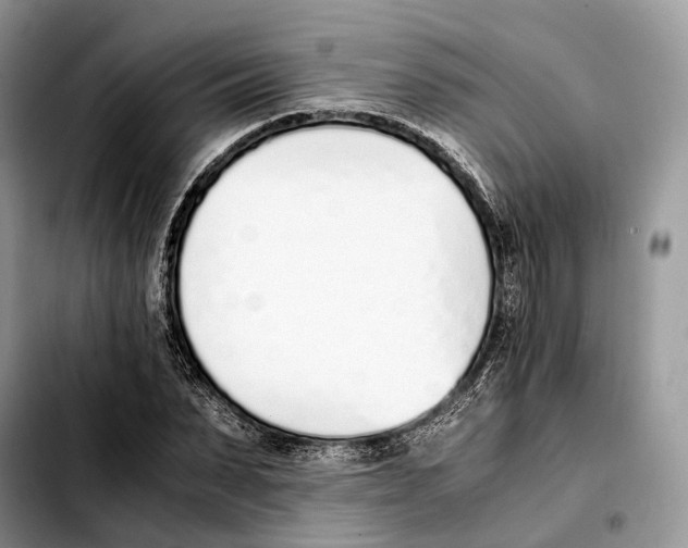 X0000103450879200810101125