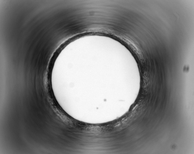 X0000103450880200810101125