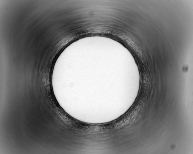 X0000103450881200810101125