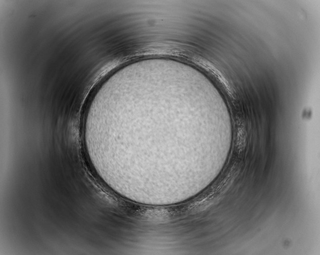 X0000103450882200810101125