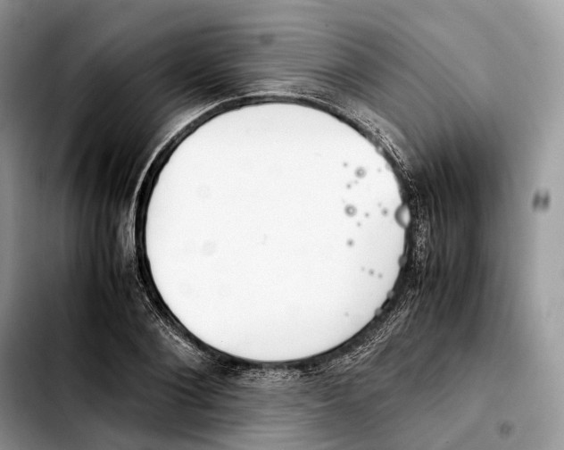 X0000103450884200810101125