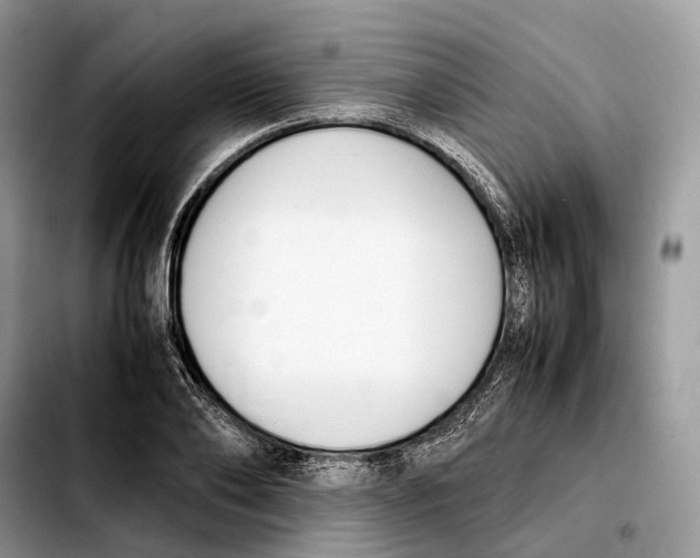 X0000103450886200810101125