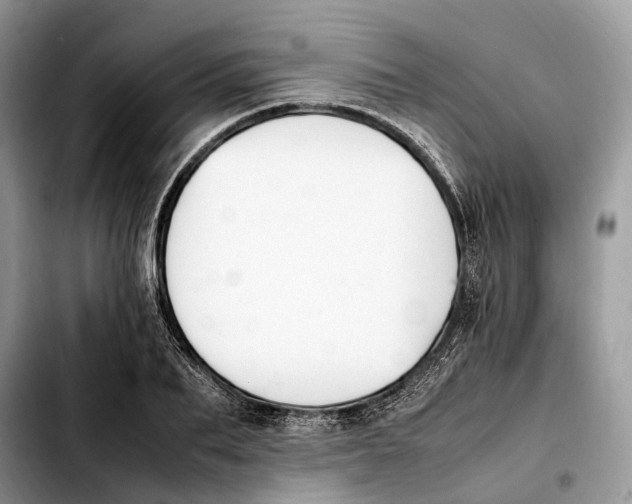 X0000103450887200810101125