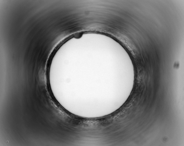 X0000103450888200810101125