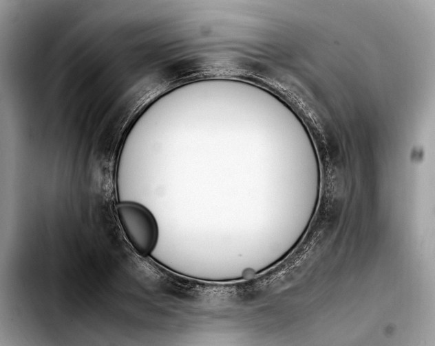 X0000103450889200810101125