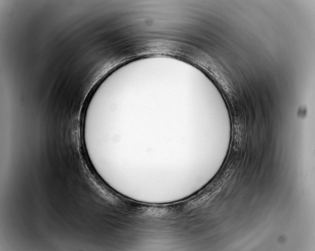 X0000103450890200810101125