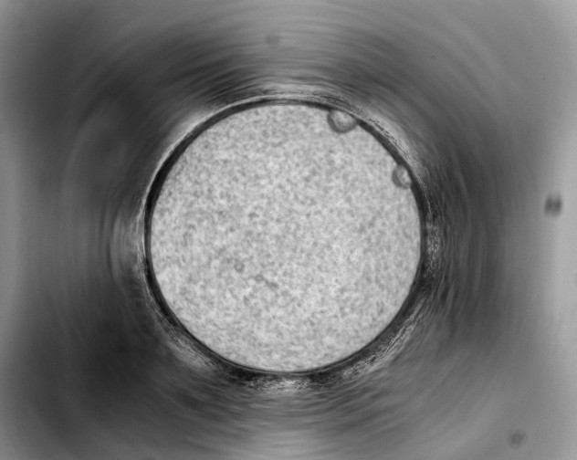 X0000103450891200810101125