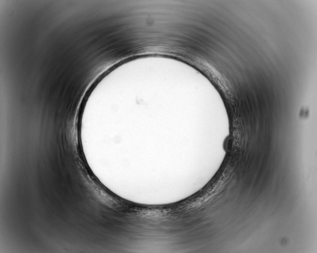 X0000103450892200810101125