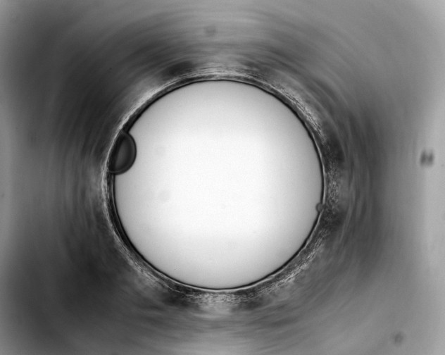 X0000103450893200810101125