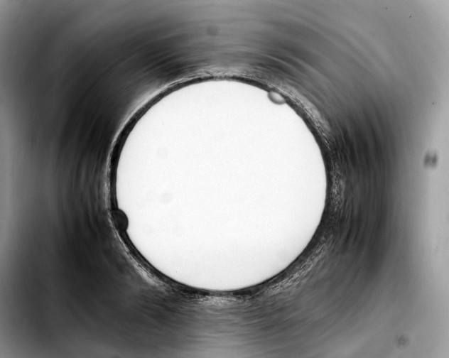 X0000103450894200810101125