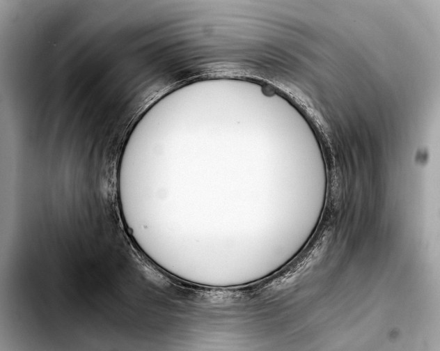 X0000103450897200810101125