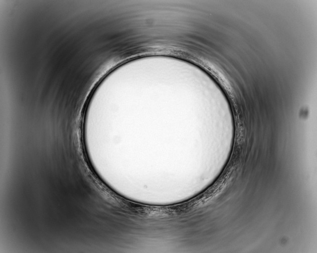 X0000103450899200810101125