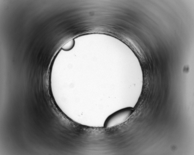 X0000103450900200810101125