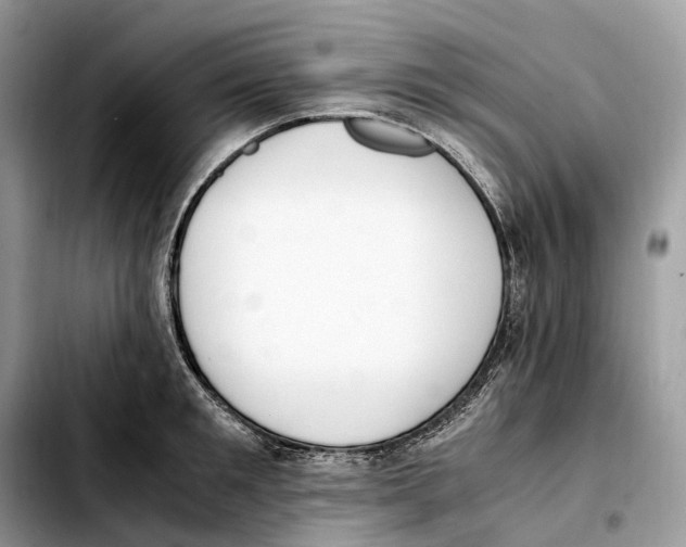 X0000103450901200810101125