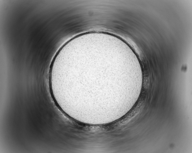 X0000103450903200810101125