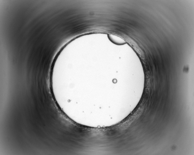 X0000103450904200810101125