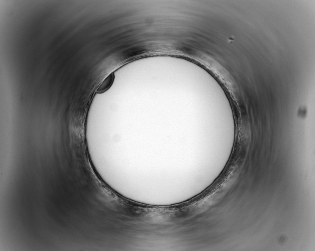 X0000103450905200810101125