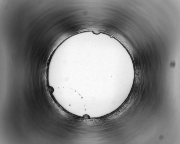 X0000103450906200810101125