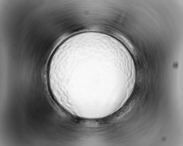 X0000103450907200810101125