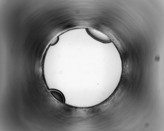 X0000103450908200810101125