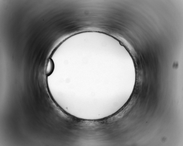 X0000103450910200810101125