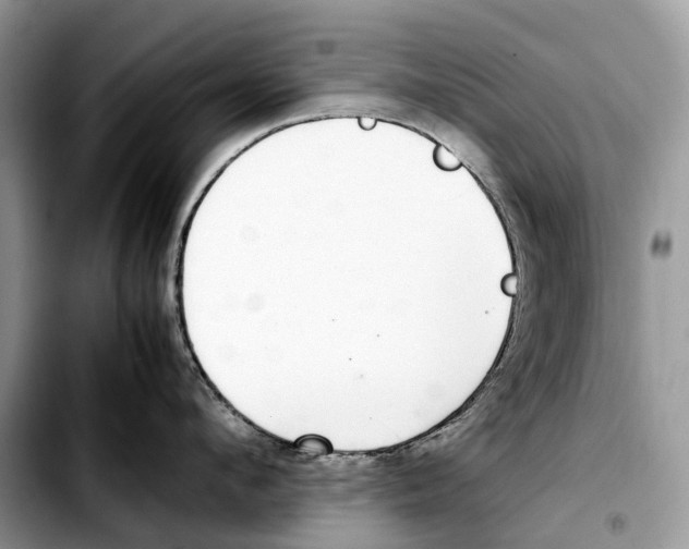 X0000103450912200810101125